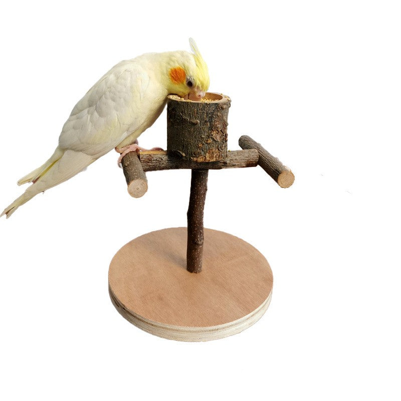 Solid wood parrot station frame bird toy with base, perch, cockatiel perched on Tampa Home & Garden Store