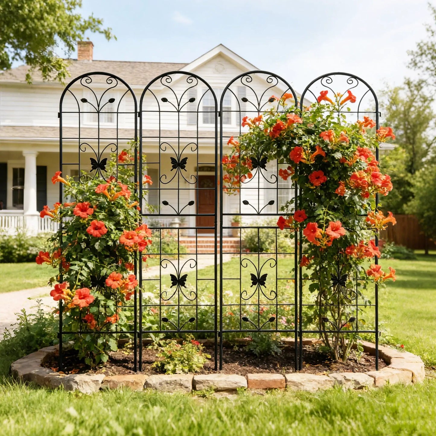 Garden Metal Trellis for Climbing Plants