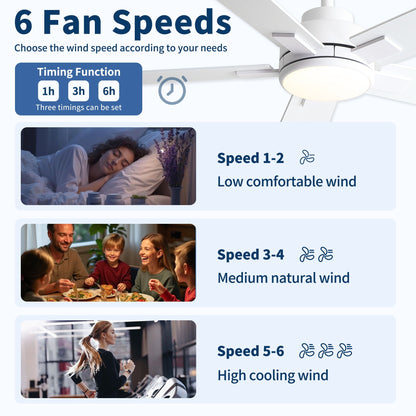 Ceiling fan with light by HouseOfZazla, white finish, reversible motor, LED dimmable, 6 speeds on Tampa Home & Garden Store
