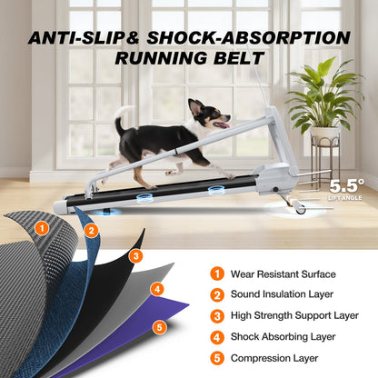2025 New Quiet Smart Pet Treadmill HouseOfZazla white frame with running belt in home gym on Tampa Home & Garden Store