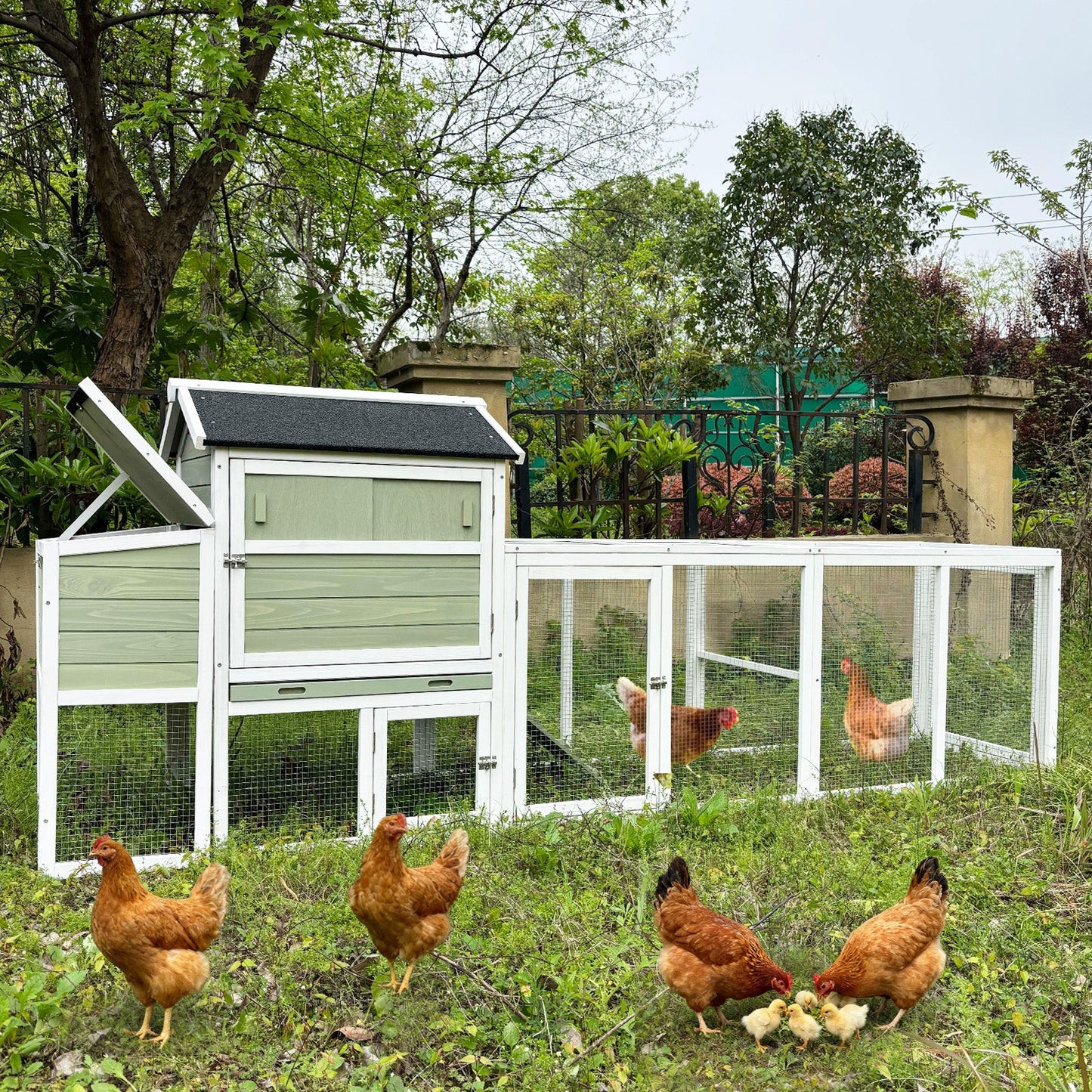 Large Wooden Hen House With Nesting Box And Run