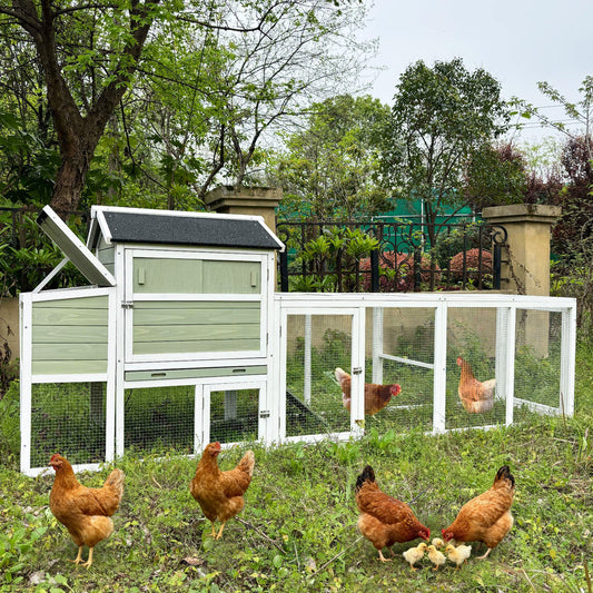 Wooden chicken coop with run and nesting box pale green and white by HouseOfZazla in fenced yard on Tampa Home & Garden Store