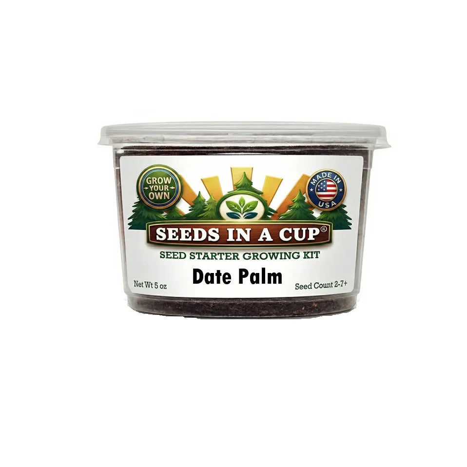 Date Palm Tree Grow Kit