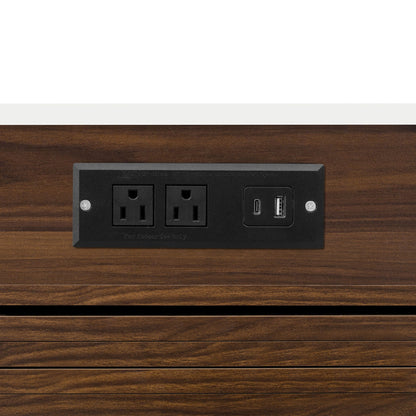 Black power outlet panel with two outlets and USB port on dark wood surface on Tampa Home & Garden Store