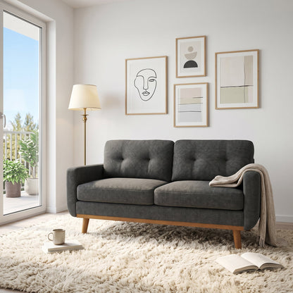 65 Inch Modern Minimalist Two Seater Sofa