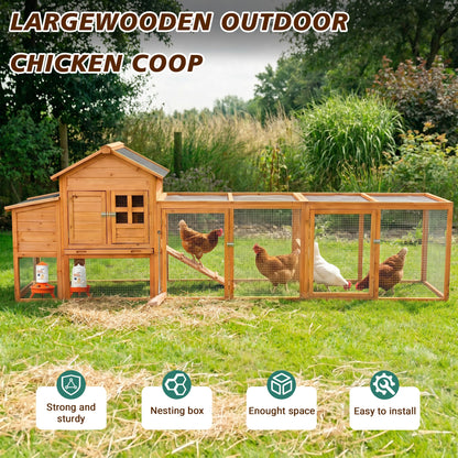 Large wooden outdoor chicken coop with nest box and run, natural finish, 5 chickens on Tampa Home & Garden Store