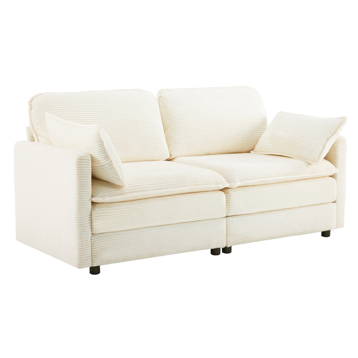 The Plush Cloud and Modular 2 Seater Sofa