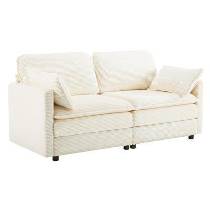 The Plush Cloud and Modular 2 Seater Sofa