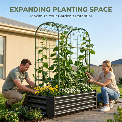 Outdoor Raised Garden Bed and Trellis Planter
