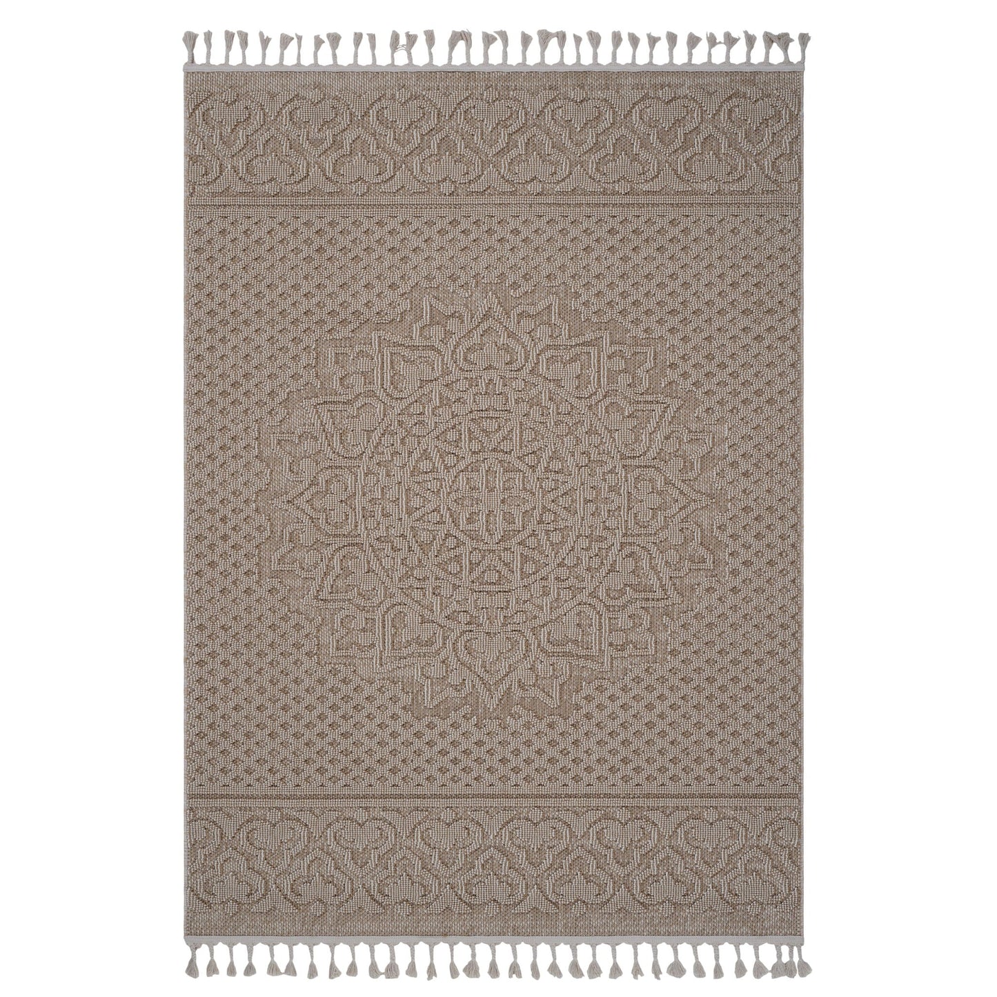 Guros Medallion Indoor and Outdoor Area Rug