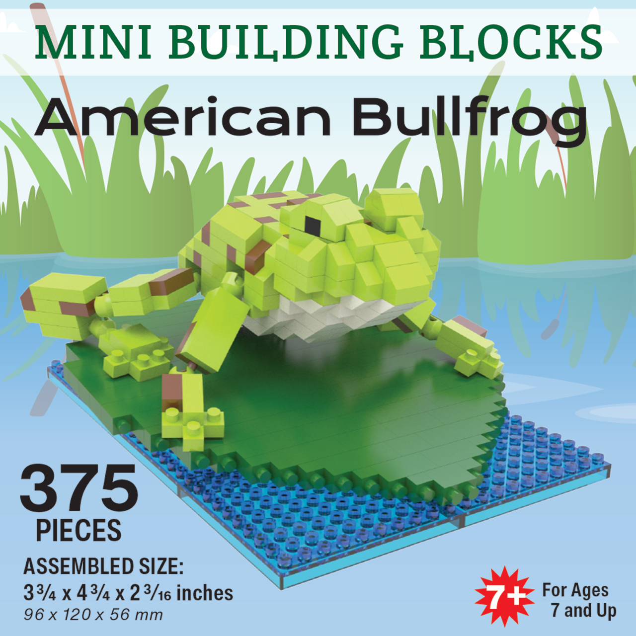 Minibloques de construcción - Rana toro americana