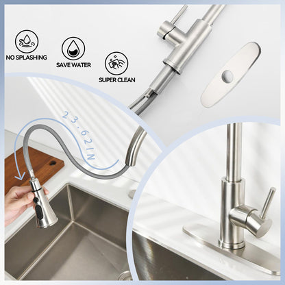 High Arc Kitchen Faucet and Pull Down Sprayer