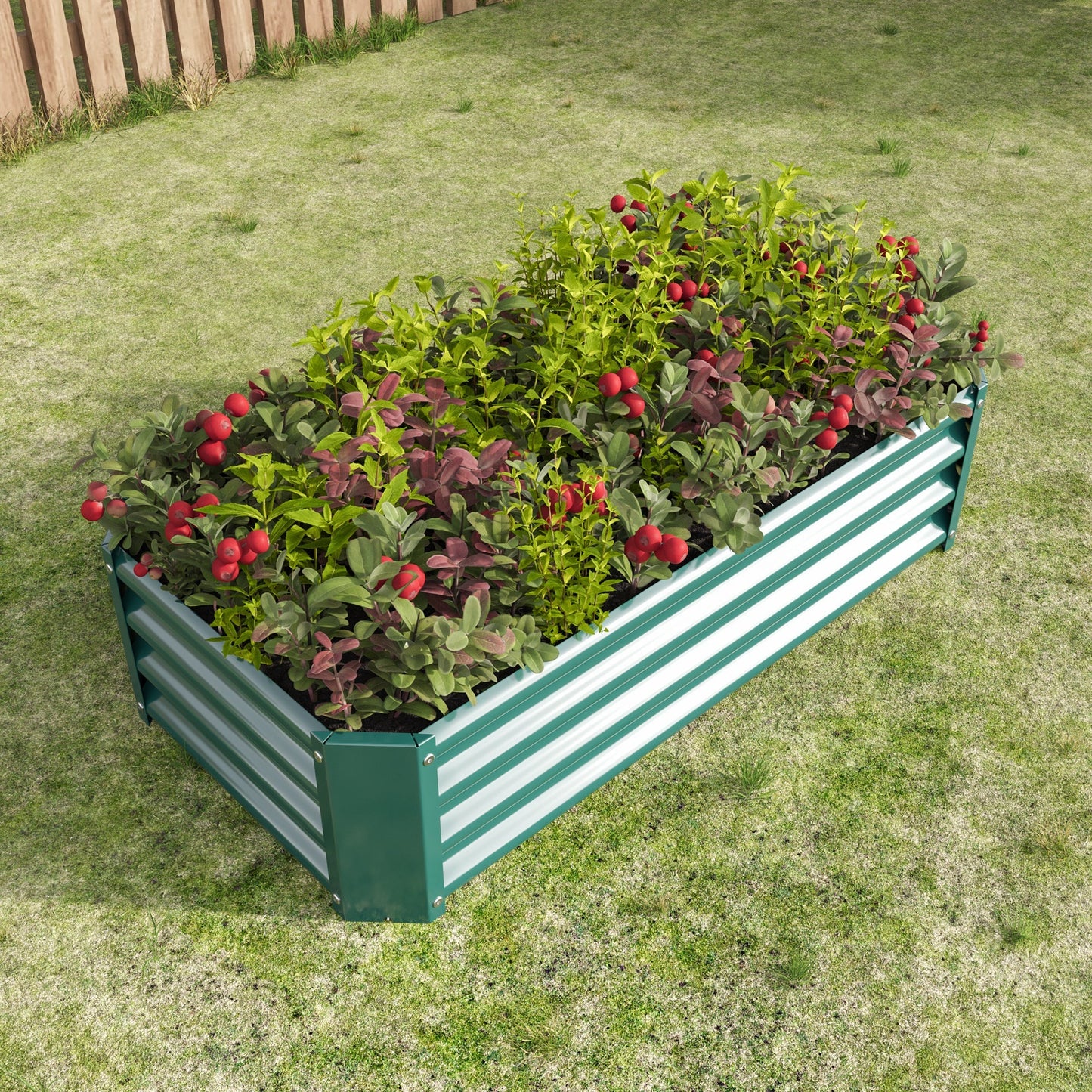 Metal raised garden bed rectangle planter 4×2×1ft with striped green frame and berry plants on Tampa Home & Garden Store