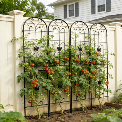 Garden Metal Trellis for Climbing Plants
