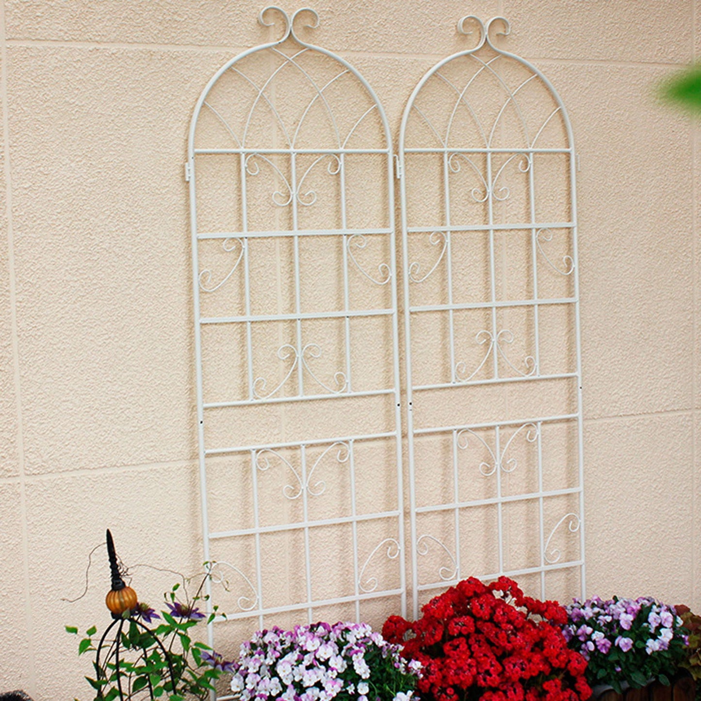 Metal Trellis For Climbing Plants And Vines