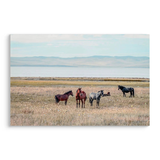 Horse canvas wall art in a grassy field with distant mountains, denim brown hues on Tampa Home & Garden Store