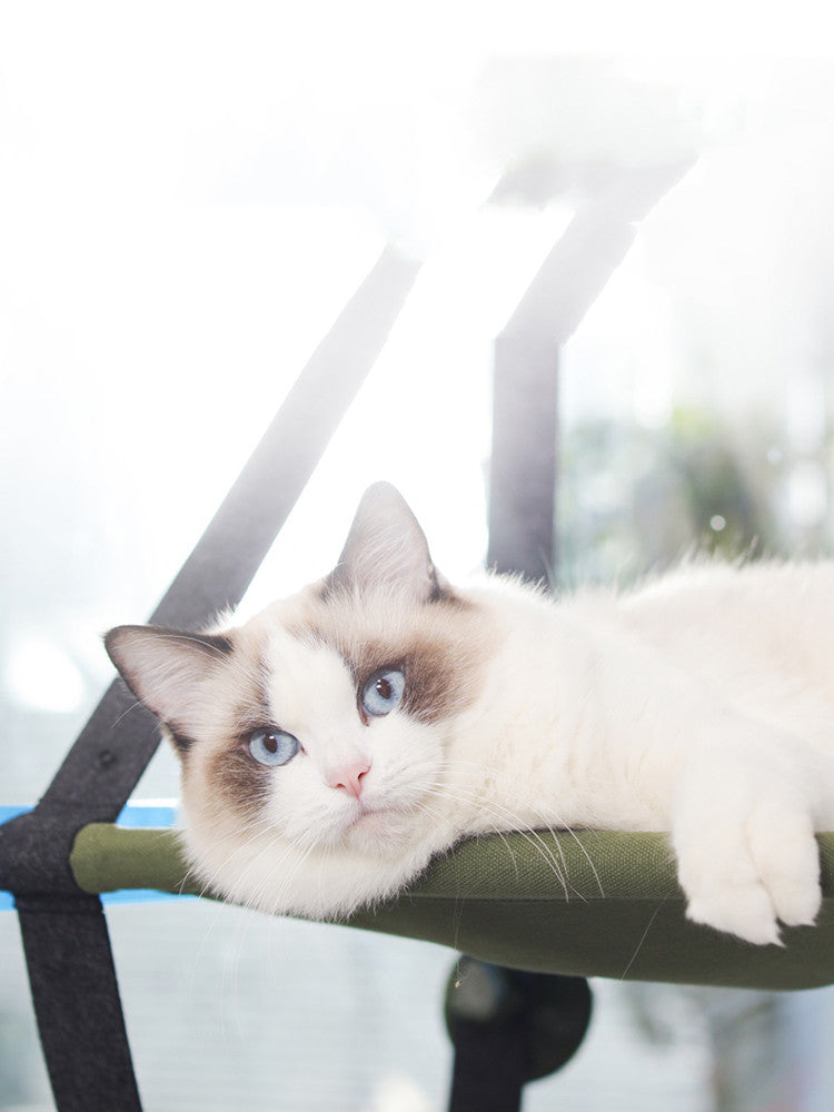 Window cat hammock with suction cups, foldable bed in green fabric by Sell My Stuff on Tampa Home & Garden Store