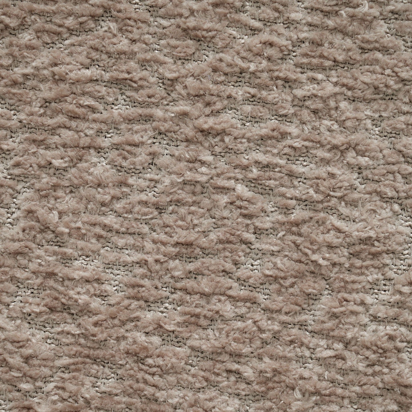 Loveseat Sofa 2 Seater Couch with Armrest Pillows beige shag carpet texture close-up on Tampa Home & Garden Store