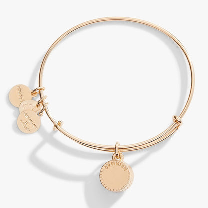 Bracelet: December Birthstone Bangle by ALEX AND ANI in rose gold with blue zircon discs on Tampa Home & Garden Store