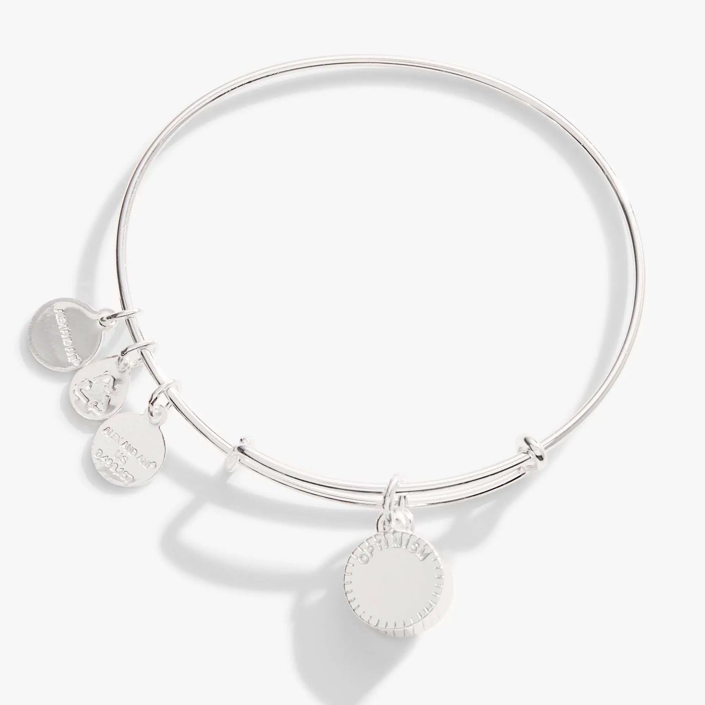 December Birthstone Bangle by Alex and Ani silver-tone bracelet with disc charms on Tampa Home & Garden Store