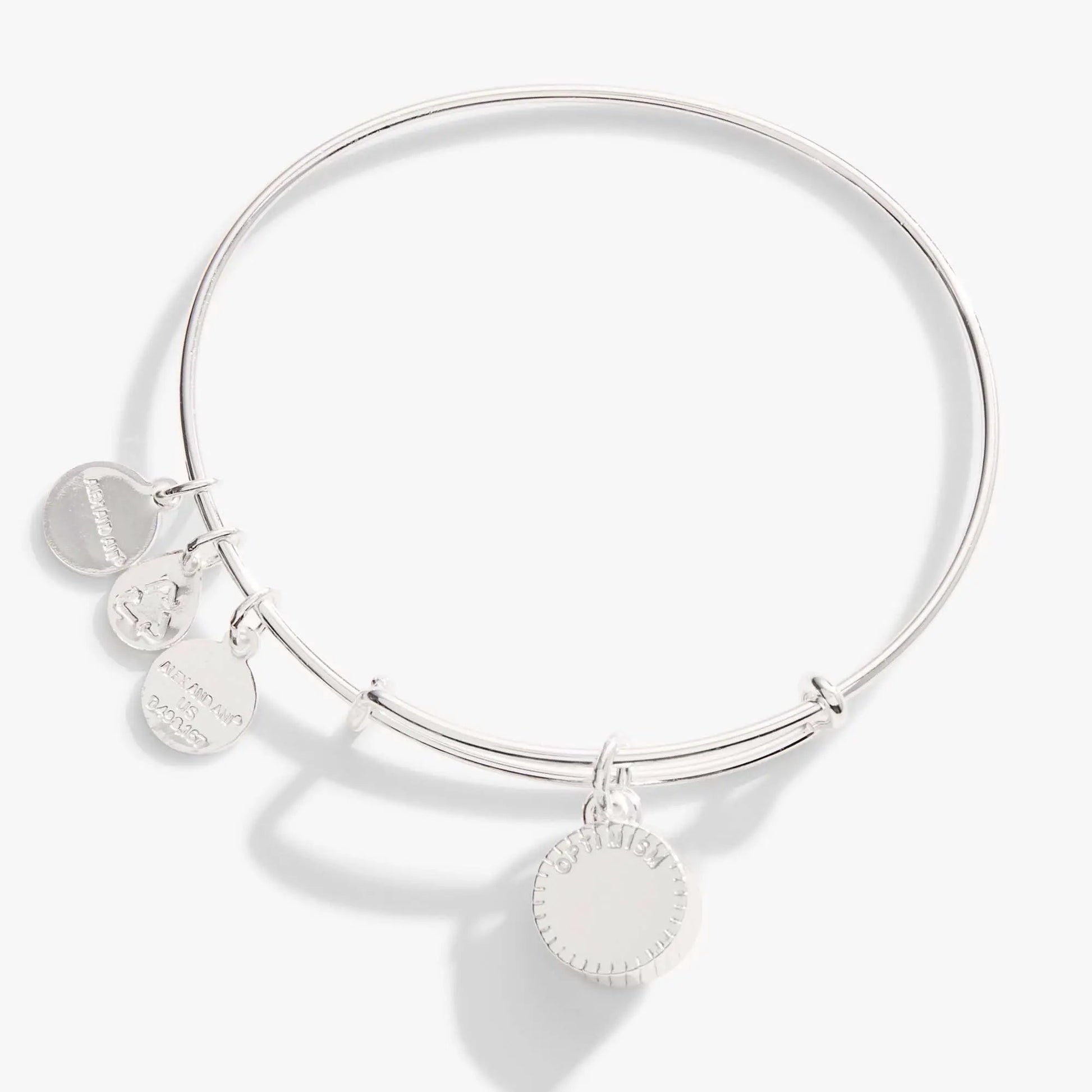 December Birthstone Bangle by Alex and Ani silver-tone bracelet with disc charms on Tampa Home & Garden Store
