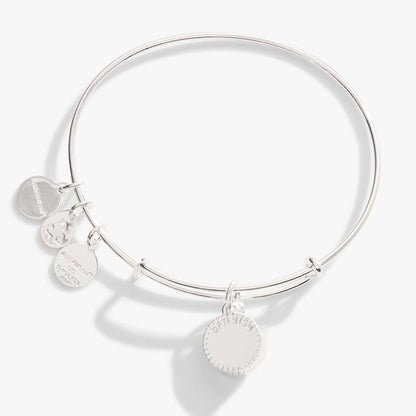 December Birthstone Bangle by Alex and Ani silver-tone bracelet with disc charms on Tampa Home & Garden Store