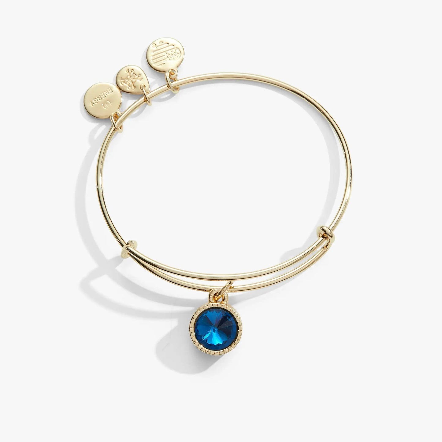 December Birthstone Charm Bangle by ALEX AND ANI, gold-tone bracelet with blue zircon pendant on Tampa Home & Garden Store