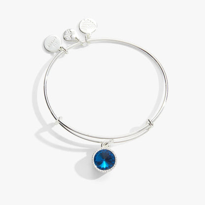 December Birthstone Charm Bangle with blue zircon pendant, silver-tone by Alex and Ani on Tampa Home & Garden Store