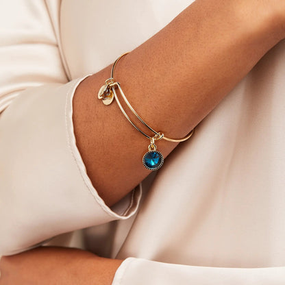 December Birthstone Bangle with blue zircon goldtone by ALEX AND ANI bracelet on Tampa Home & Garden Store
