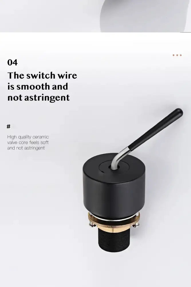 Modern brass black single-handle bathroom faucet valve by Decorbites with lever on Tampa Home & Garden Store