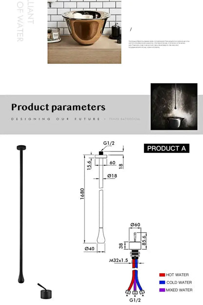 Modern brass black single-handle Decorbites bathroom faucet with black body and plumbing diagram on Tampa Home & Garden Store