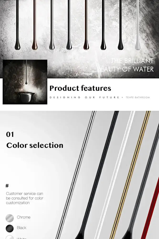 Decorbites modern brass black single-handle bathroom faucet with color swatches display on Tampa Home & Garden Store