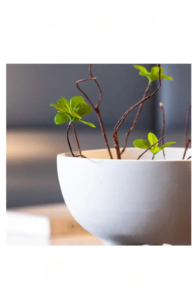 White ceramic tripod planter with green leaves and brown stems Decorbites on Tampa Home & Garden Store