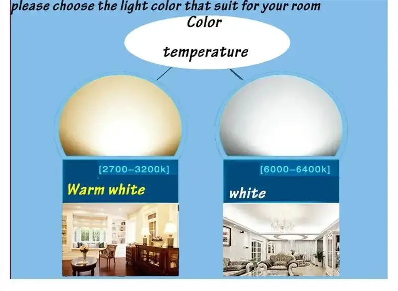 Modern gold crystal chandelier large staircase pendant light Decorbites warm white and white on Tampa Home & Garden Store