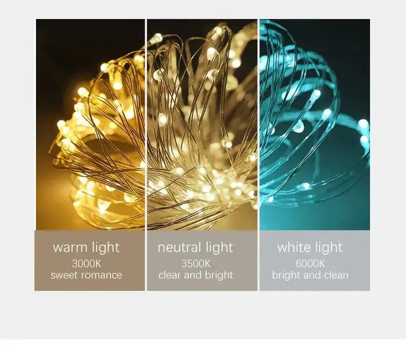 Chandelier Decorbites gold long ceiling glass pendant light with wire orb LED strings on Tampa Home & Garden Store