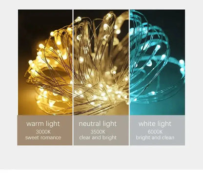 Chandelier Decorbites gold long ceiling glass pendant light with wire orb LED strings on Tampa Home & Garden Store