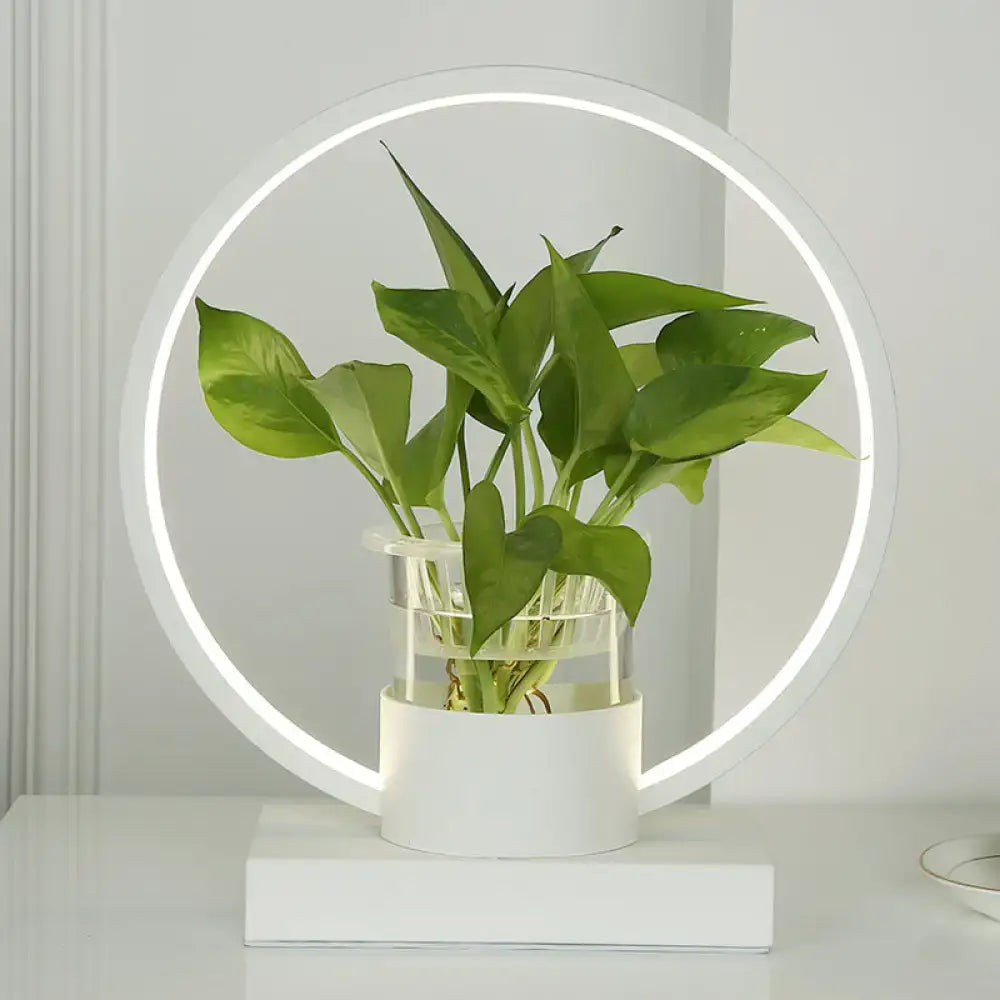 White LED ring floor lamp with plant display in a clear vase Decorbites Home & Garden on Tampa Home & Garden Store