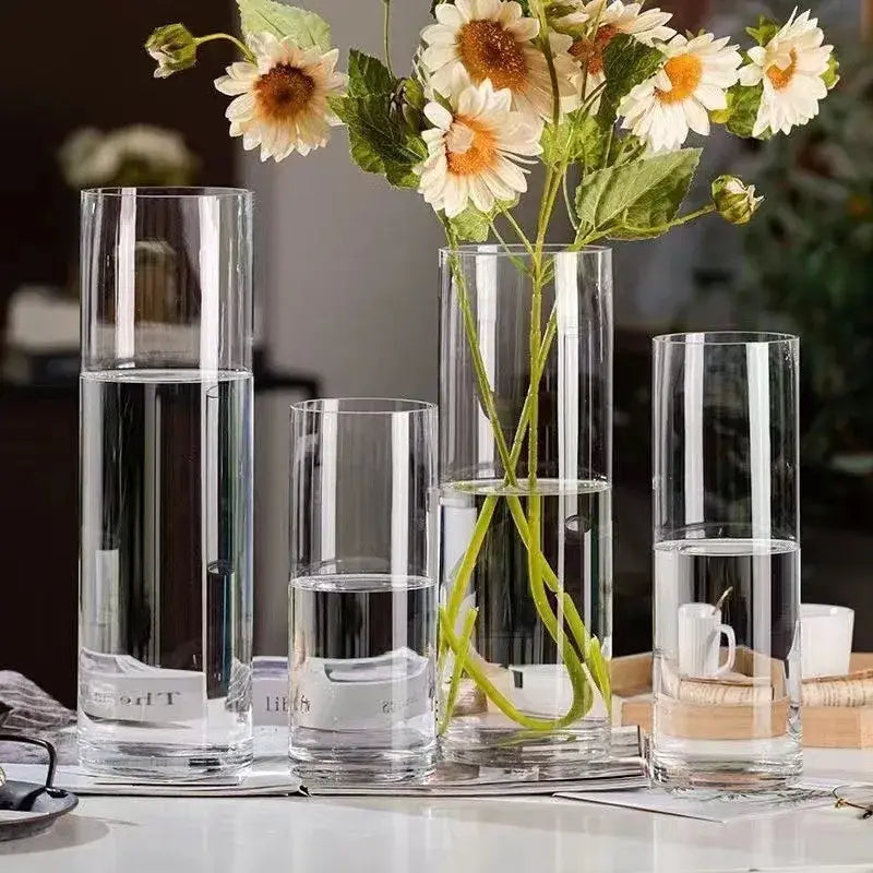 Glass Hydroponic Desktop Planter Vase