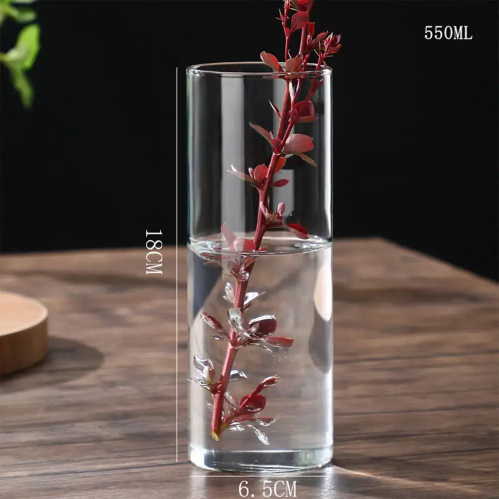 Glass Hydroponic Desktop Planter Vase