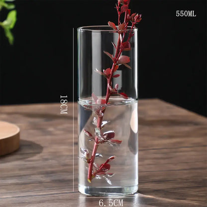 Glass Hydroponic Desktop Planter Vase