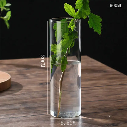 Glass Hydroponic Desktop Planter Vase