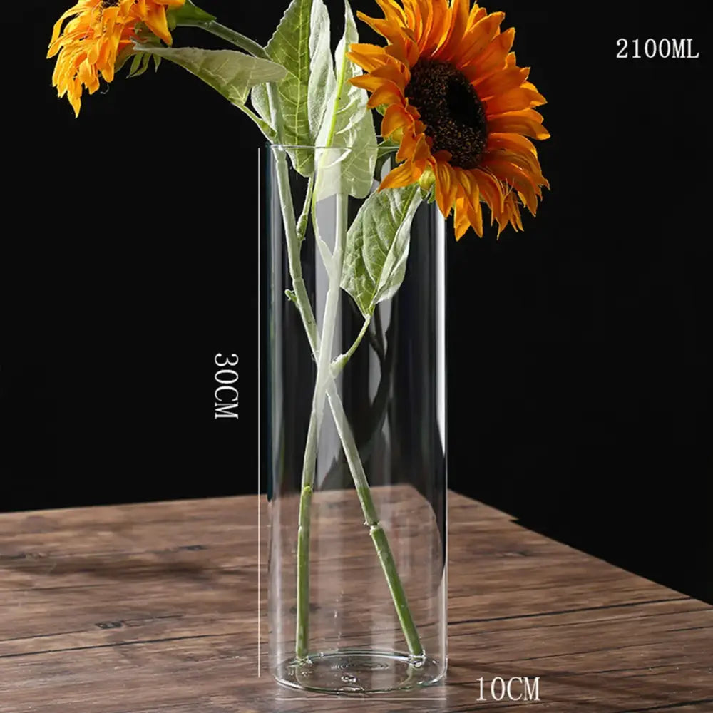 Glass Hydroponic Desktop Planter Vase