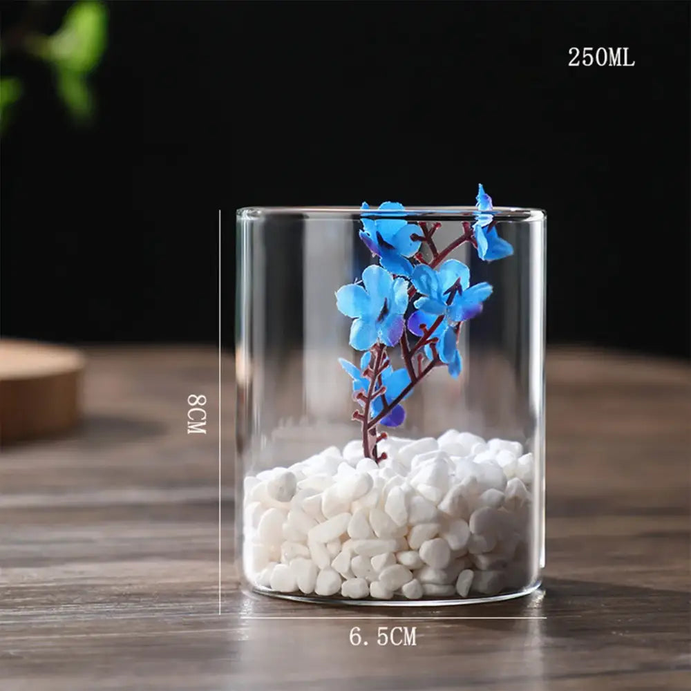 Glass Hydroponic Desktop Planter Vase