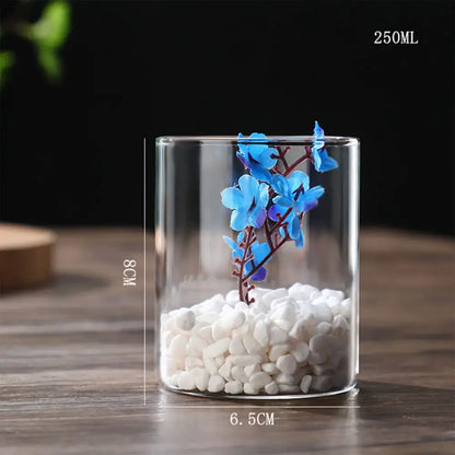 Glass Hydroponic Desktop Planter Vase