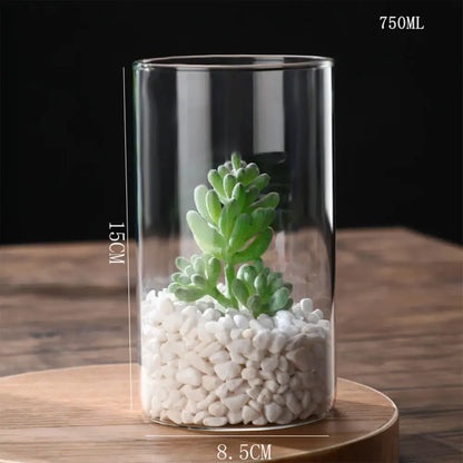 Glass Hydroponic Desktop Planter Vase