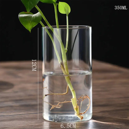 Glass Hydroponic Desktop Planter Vase