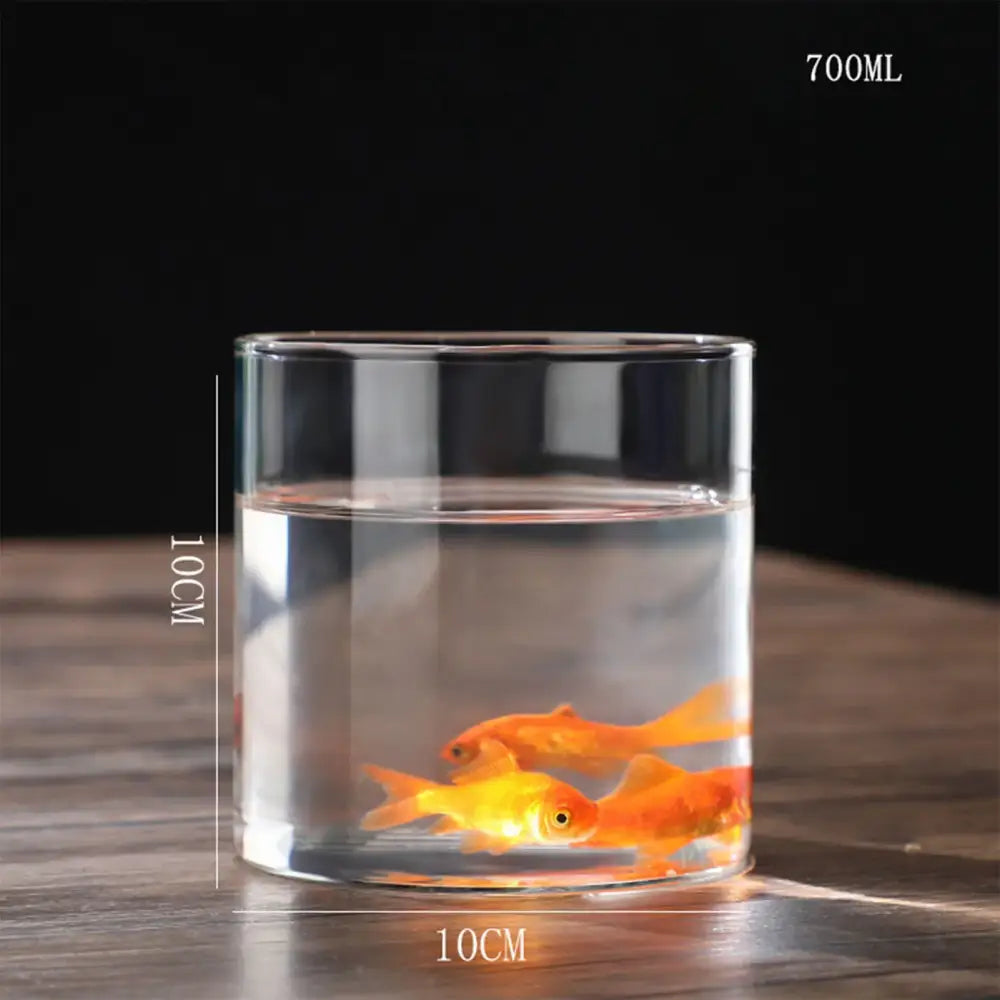 Glass Hydroponic Desktop Planter Vase