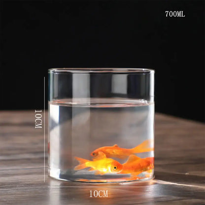 Glass Hydroponic Desktop Planter Vase