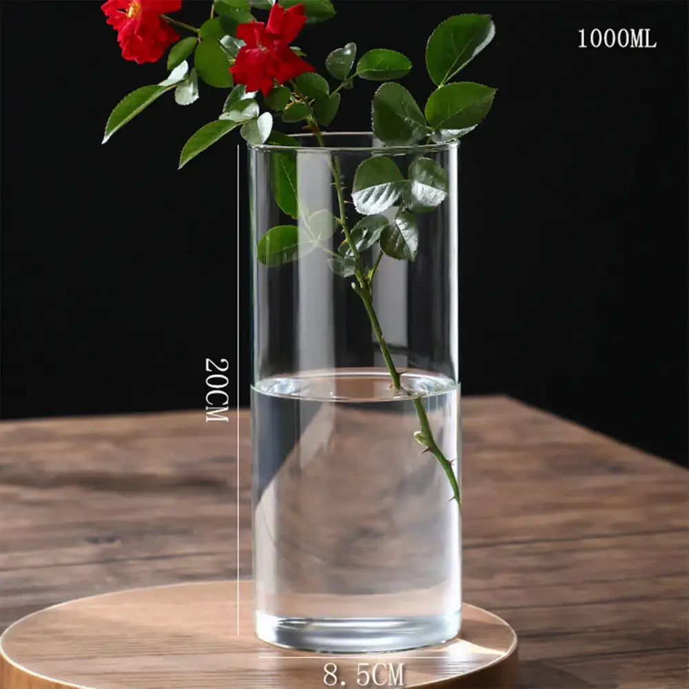 Glass Hydroponic Desktop Planter Vase