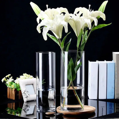 Glass Hydroponic Desktop Planter Vase